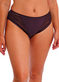 Illusion Plum Brief