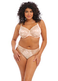 Morgan Toasted Almond Brief