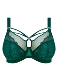 Brianna Rainforest Uw Plunge Bra