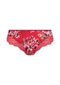 Lucia Cherry Brief