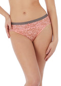 Offbeat Rosehip Brief