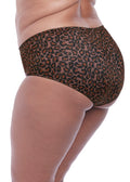 Kayla Dark Leopard Brief